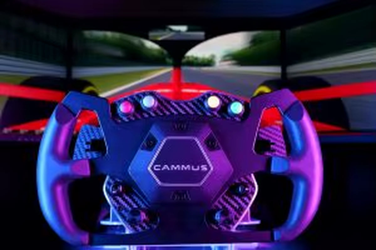 F1 Simulator Racing Game Sim Direct Drive Steering Wheel Pedals Car Driving Racing Simulator Accessories for PC